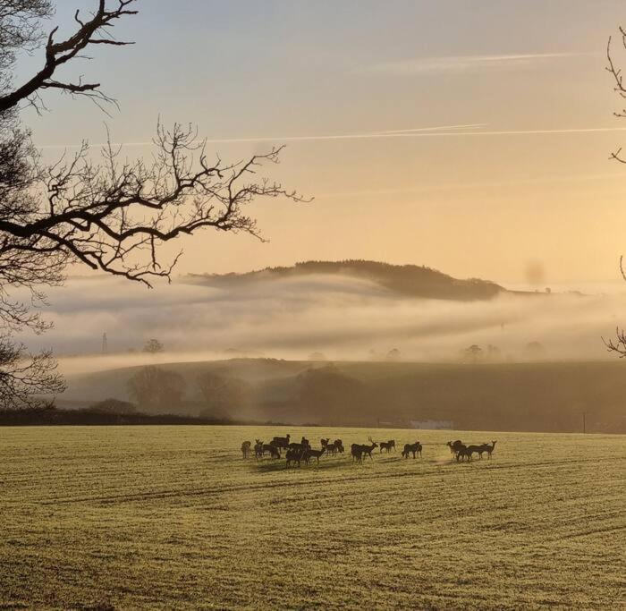 Holiday home Deer Vue Exeter